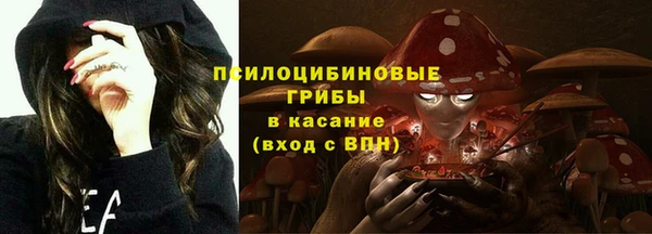 стафф Нефтекумск