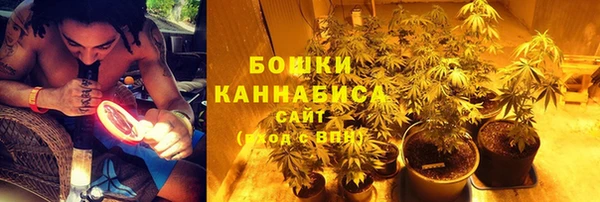 ГАЛЛЮЦИНОГЕННЫЕ ГРИБЫ Горняк