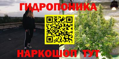 spice Гусиноозёрск