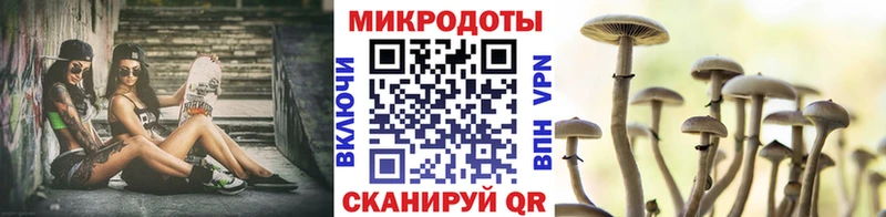 Псилоцибиновые грибы Cubensis  Лесозаводск 