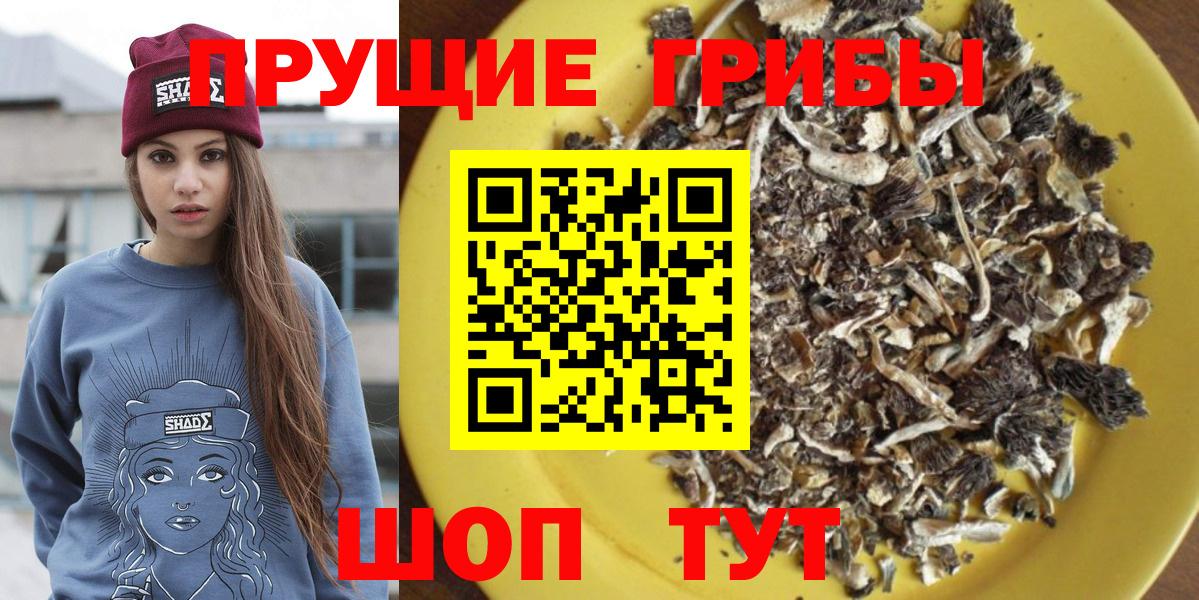 Псилоцибиновые грибы ЛСД Лесозаводск