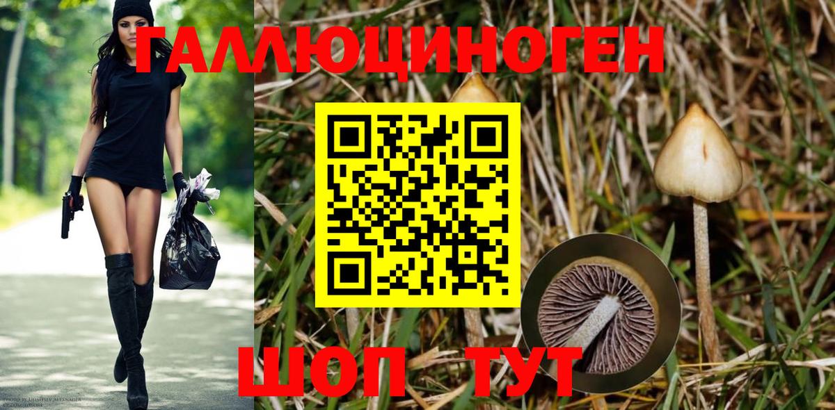 Псилоцибиновые грибы Psilocybe  Псилоцибиновые грибы мухоморы  Вход с VPN  Лесозаводск 